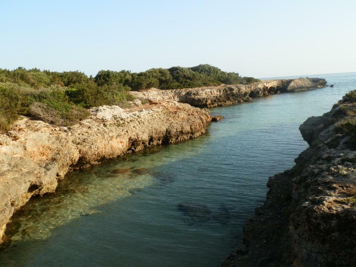 Il Fico D'India Dell'Antico Orto Villa Ostuni Exterior photo